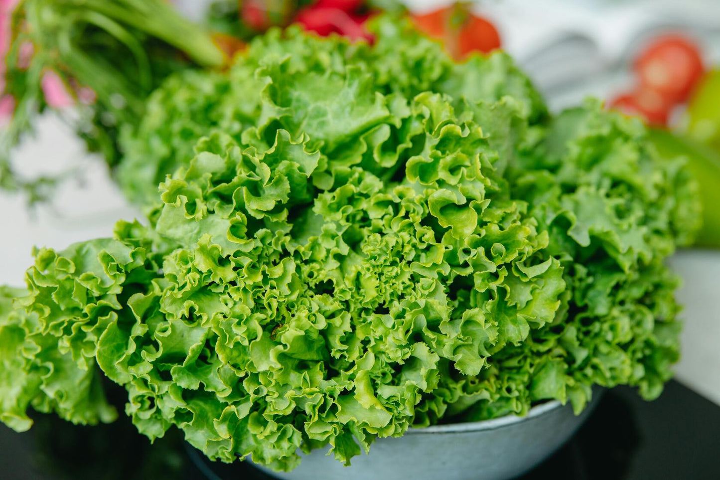 Salata Lianabel